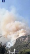 浙江温州大罗山突发山火 火势已得到初步控制